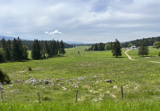 23-05-21 12-13-00 5513